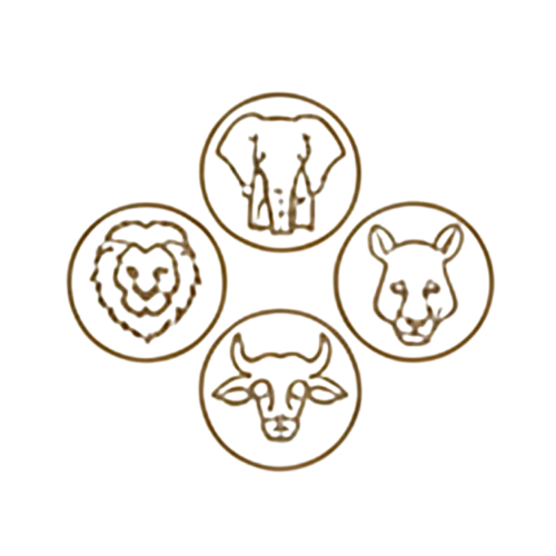 Mountain Gorilla Icon