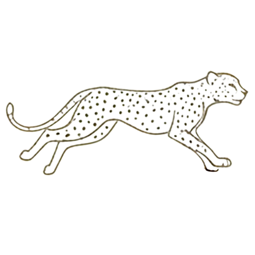 Cheetah Icon