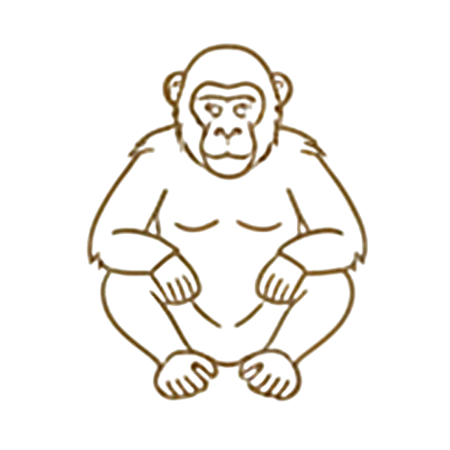 Chimpanzee icon