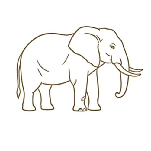 Elephant icon