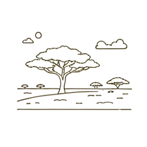 Africa’s oldest montane rainforest scenery Icon