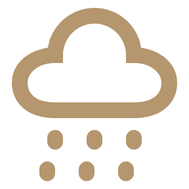 Mountain Gorilla Icon