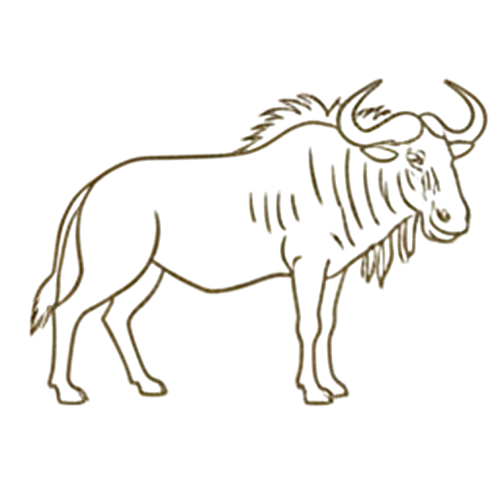 Wildebeest Icon