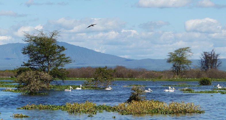 Lake Naivasha
