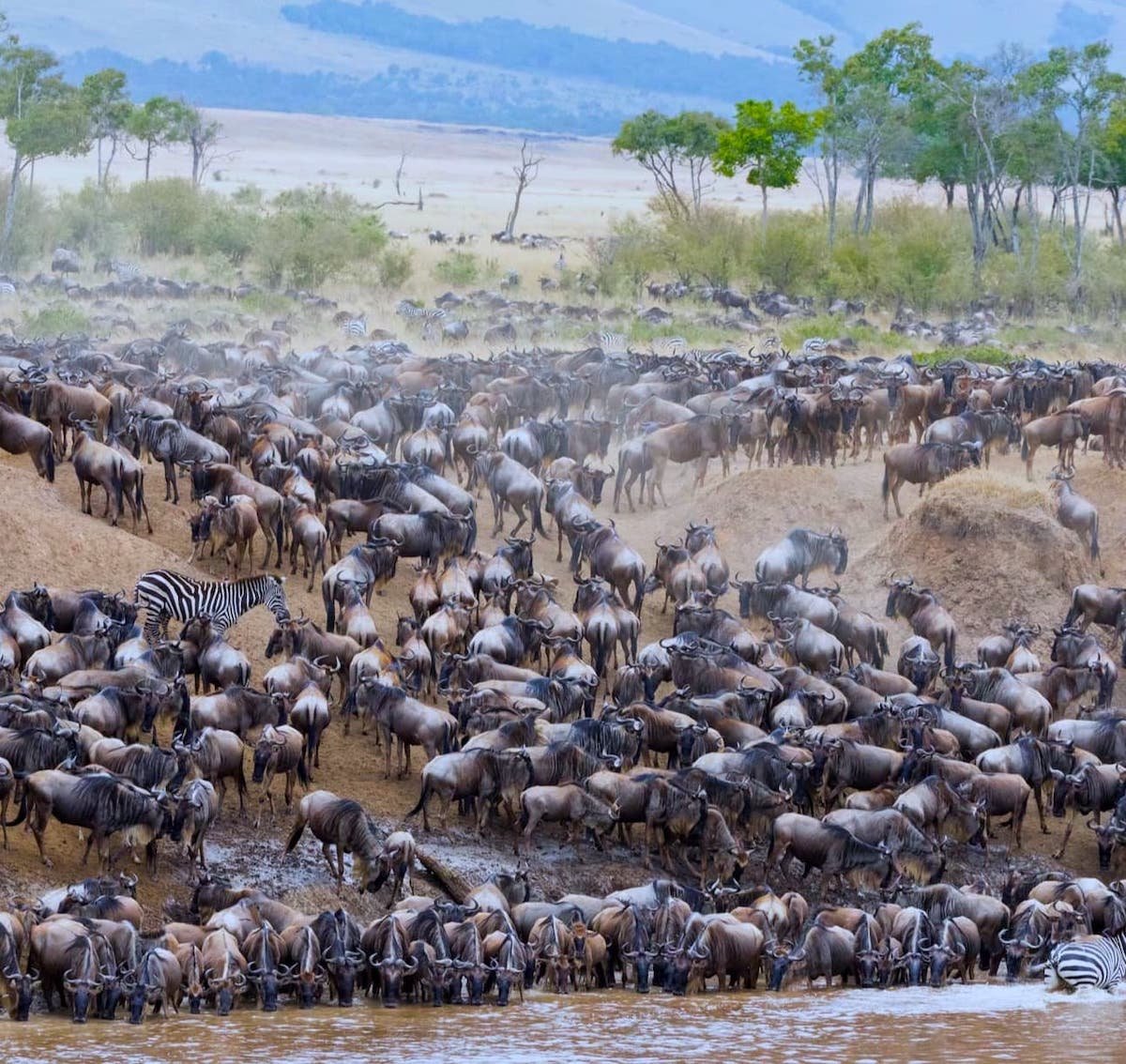 Great Migration