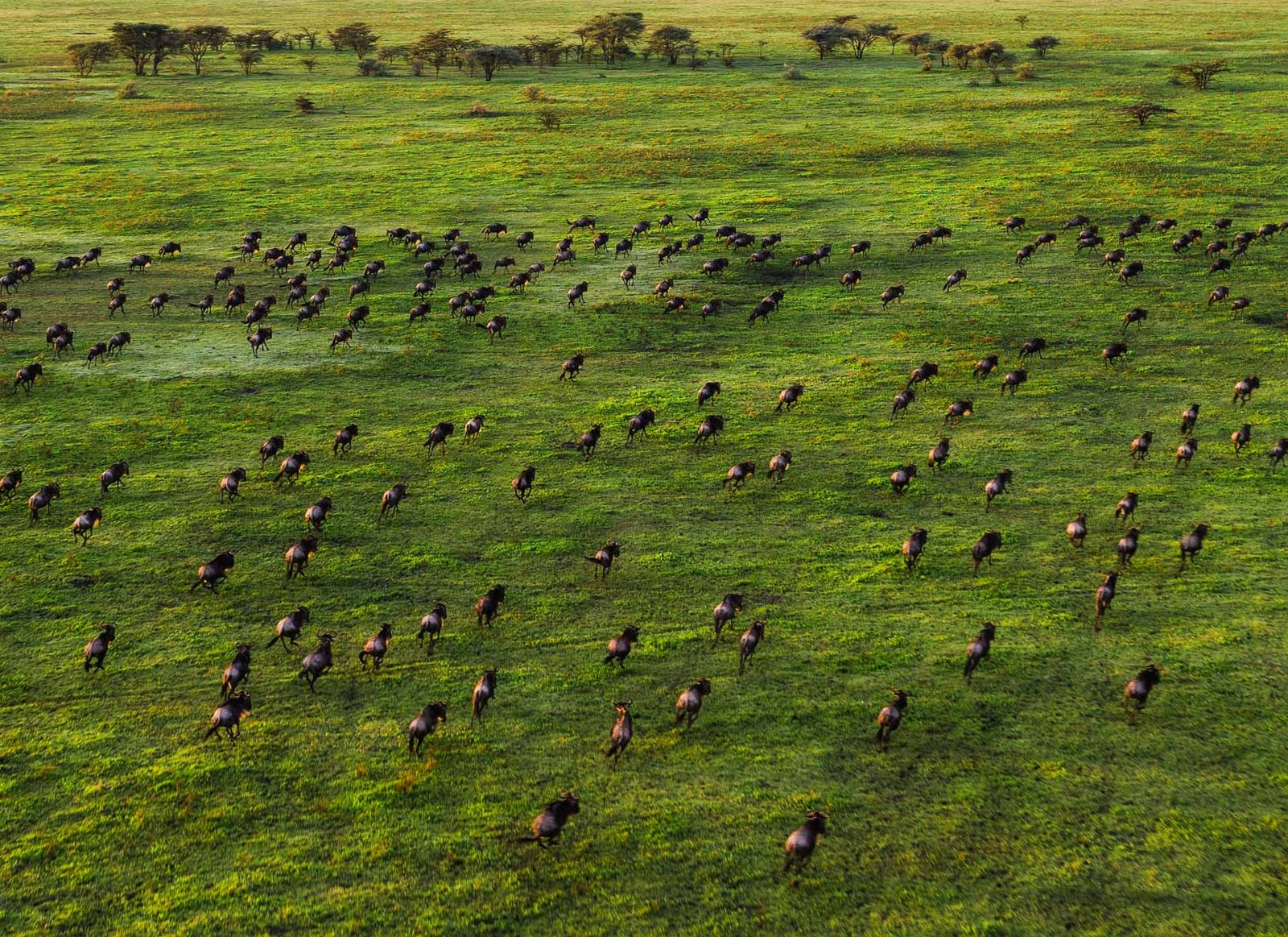 Serengeti National Park
