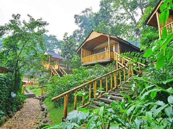 Buhoma Lodge Bwindi Impenetrable National Park